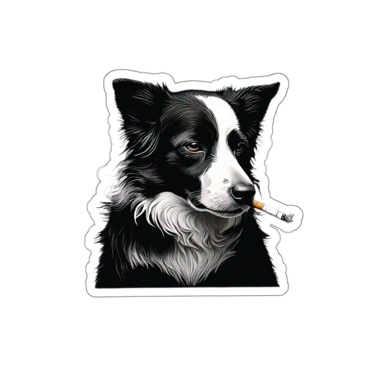 Smoker Collie Sticker